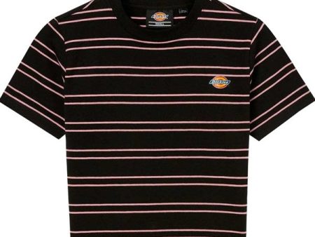 Dickies Westover Stripe Tee Black Foxglove Supply